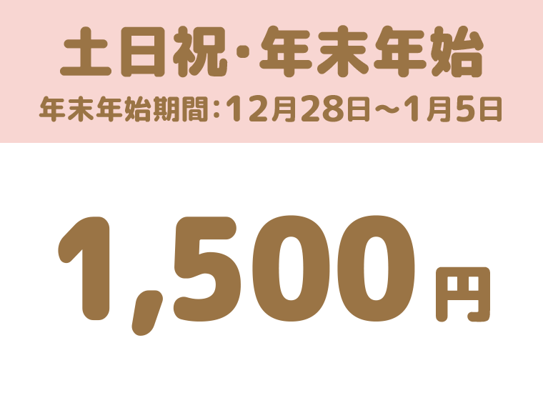 キッズパーク土日祝料金：沼尻スキー場